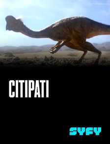 SYFY - Citipati