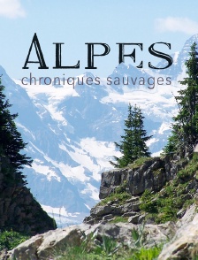 Alpes, chroniques sauvages
