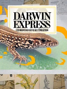 Darwin express - Les nouveaux défis de l'évolution