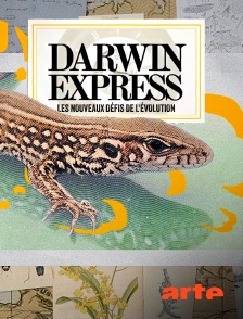 Arte - Darwin express - Les nouveaux défis de l'évolution