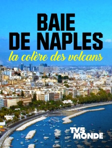 TV5MONDE - Baie de Naples, la colère des volcans