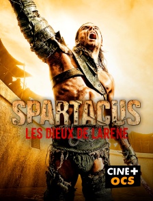 CINÉ Cinéma - Spartacus en replay