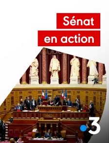Sénat en action