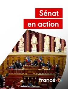 france.tv - Sénat en action