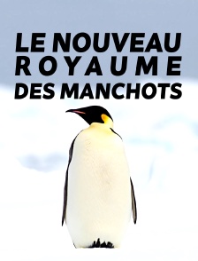 Le nouveau royaume des manchots