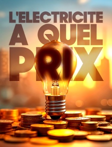 L'électricité, à quel prix ?