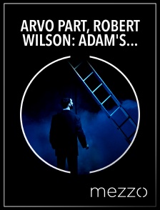 Mezzo - Arvo Pärt, Robert Wilson: Adam's Passion