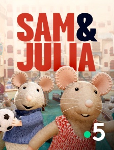 Sam le pompier en streaming gratuit sur France 5