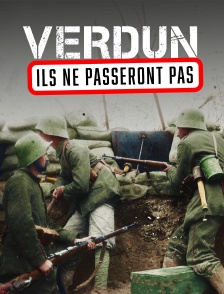 Verdun, ils ne passeront pas