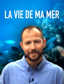 La vie de ma mer