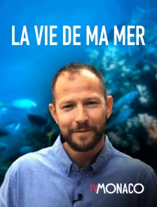 TV Monaco - La vie de ma mer