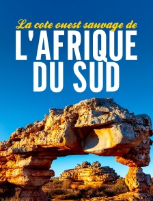 La côte ouest sauvage de l'Afrique du Sud