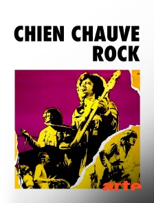 Arte - Chien chauve rock