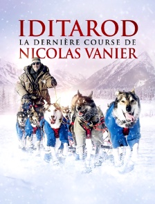 Iditarod, la dernière course de Nicolas Vanier