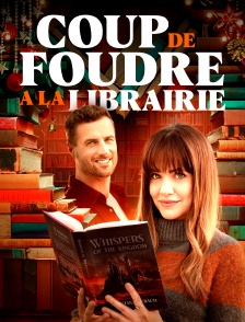 Coup de foudre à la librairie de Noël