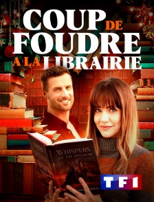 TF1 - Coup de foudre à la librairie de Noël