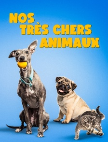 Nos très chers animaux