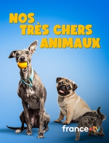 france.tv - Nos très chers animaux