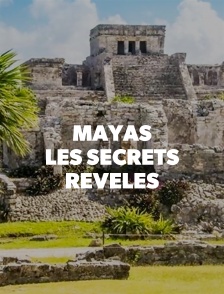Mayas, les secrets révélés