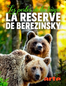 Arte - Les perles de la taïga : la réserve de Berezinsky