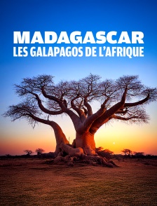 Madagascar, les Galapagos de l'Afrique