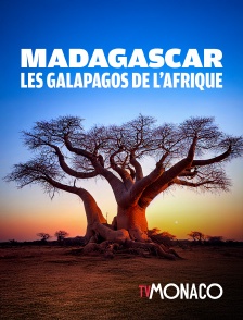 TV Monaco - Madagascar, les Galapagos de l'Afrique