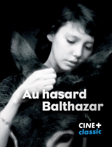CINE+ Classic - Au hasard Balthazar