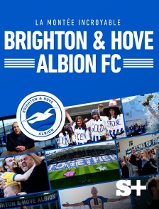 Society+ - Brighton & Hove Albion FC : la montée incroyable
