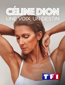 TF1 - Céline Dion : une voix, un destin