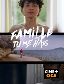 CINÉ Cinéma - Famille tu me hais en replay