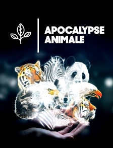Apocalypse animale