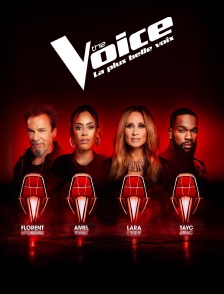 The Voice, la plus belle voix