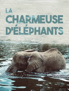 La charmeuse d'éléphants