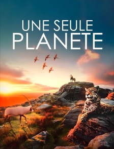 Une seule planète