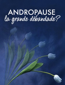 Andropause : la grande débandade ?