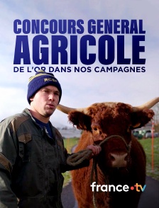 france.tv - Concours général agricole, de l'or dans nos campagnes