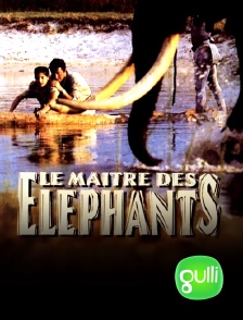 Le maître des éléphants