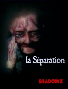 Shadowz - La Séparation