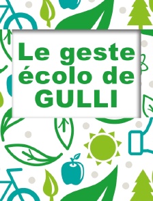 Le geste écolo de Gulli
