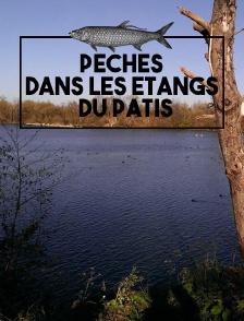 Pêches dans les étangs du Patis