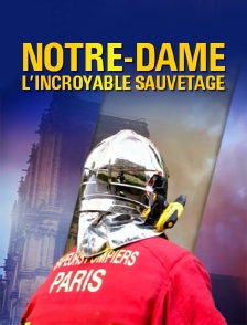 Notre-Dame, l'incroyable sauvetage