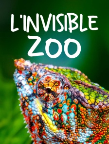 L'invisible zoo