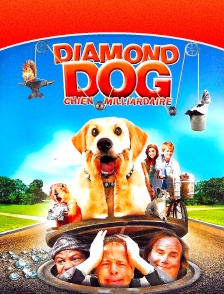 Diamond Dog : chien milliardaire