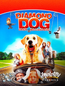 Molotov channels - Diamond Dog : chien milliardaire