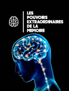 Les pouvoirs extraordinaires de la mémoire