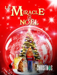 CHRISTMAS by Molotov - Le miracle de Noël