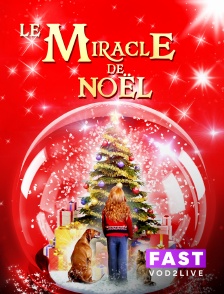Molotov Channels TEST FAST - Le miracle de Noël