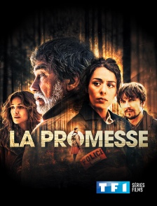 TF1 Séries Films - La promesse