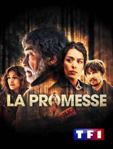 TF1 - La promesse