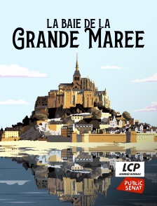 LCP Public Sénat - La baie de la grande marée